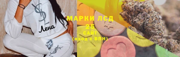гашик Новодвинск