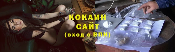 apvp Болотное