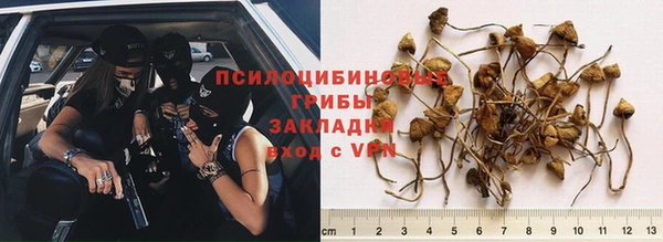 альфа пвп Нефтегорск