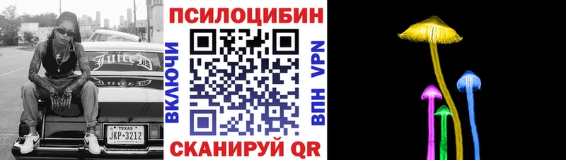 Псилоцибиновые грибы Cubensis  закладки  Покровск 